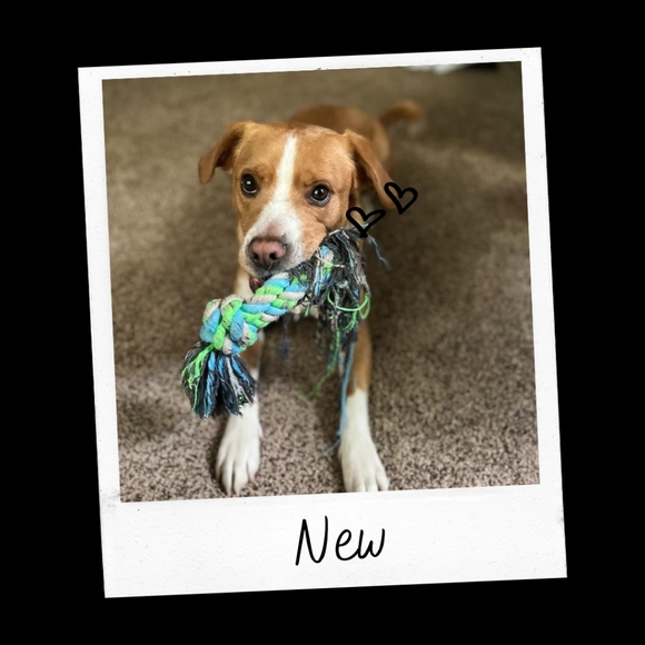 Other - Recently Added